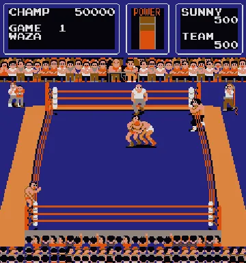 The Big Pro Wrestling! screen shot game playing